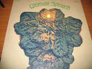 ULTIMATE SPINACH s/t LP MGM orig label psych VG+ nice Beantown sound