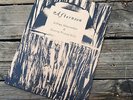 Bonnie Prince Billy/Ashley Macomber Afternoon 10