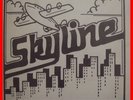 MODERN SOUL BOOGIE LP Skyline - Skyline 