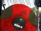 No Warning-ILL BLOOD COLOR american nightmare youth of today rival mob carry on