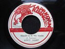 HAPPINESS  IS  MY  DESIRE  /  LEROY  SMART  // CAPRICORN  RISING  7 in