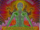 Doppel-LP Vinyl: Space Tribe -The Future´s Right Now -- Sprit Zone - 1997 - VG