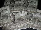 10x ANGEL OF DAMNATION lps 