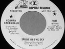 NORMAN GREENBAUM WLP PROMO 45 DJ COPY w/ SLEEVE 