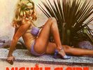 MICHELE CLAIRE nice and slow MONSTER P. ADAMS PROD PROMO DISCO  7