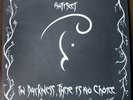 Antisect - 'In Darkness there Is No Choice' LP Spider Leg Records/ Anarcho punk