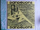DANDELIONS S/T private folk pop LP RARE unplayed 1971