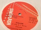 Stallion - Stallion / doom watch - Rare Roots Dub nm Listen
