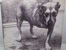 Alice in Chains Self Titled 2 Lp's NM+ 
