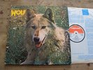 WOLF - CANIS LUPUS LP UK 1st Deram Darryl Way Curved Air Marillion Prog SUPERB