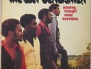 THE LOST GENERATION Young Tough & Terrible RARE SWEET SOUL LP Brunswick MP3