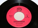 Svanfridur - Kalli Kvennagull / Jibby Jey 7