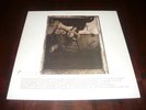 Pixies | Surfer Rosa | LP