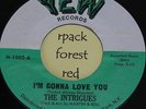 THE INTRIGUES - I'm Gonna Love You -  YEW 7