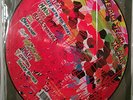 CRAZY RARE Yeah Yeah Yeahs - Fever To Tell Picture Disc Disk LP 12
