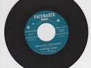 GAYLAN LADD Repulsive Situation 1967 SNOTTY FUZZ GARAGE PUNK PSYCH 45 Texas HEAR