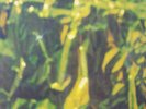 Chinese Ensemble LP Asian psych x-rated funk ? library/freakbeat/rare/trap door