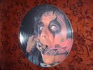 ALICE COOPER 