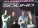 GARAGE PUNK FLESHTONES LABORATORY SOUND 12'' LP GREEK RAREST NEVER PLAY ZAREMBA