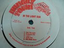 Rare Hungry Town 'In the Light Dub' Jamaica Prod. by Hungry Sound NM