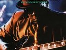 JOHN LEE HOOKER Boom Boom 1992 BLUES LP RARE MINT