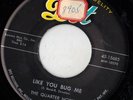 DOT doo wop 45  THE QUARTER NOTES - Like You Bug Me  NICE