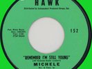 MICHELE (Girl Group) Remember I'm Still Young 45rpm Hawk 1964