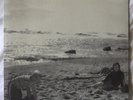 RED HOUSE PAINTERS - RARE split 7