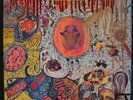 THE GOLDEN CUPS Super Live Session Garage LP on CAPITOL Chen Shinki Red Wax