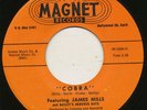 Rocker - BAILEY'S NERVOUS KATS on Magnet | cobra | NM | LISTEN