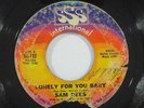 Northern Soul 45 SAM DEES Lonely For You Baby on SSS