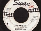 Mickey Lee Lane Hey Sah Lo Ney BERSERK Garage Punk Rockabilly Mad Mike Listen