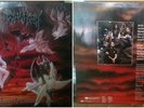 Immolation – Dawn Of Possession Vinyl LP 1991 death metal