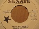 SAVAGE GENERATION-You're Not Going to Change My World 45 60s garage PSYCH HEAR