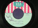 CHERRY SLUSH classic rock 45 I CANNOT STOP YOU / DON'T WALK AWAY  U.S.A VG+