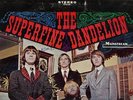 The Superfine Dandelion Mainstream S/6102