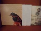 Death Cab for Cutie Transatlanticism 2 x LP Original 180gr w/booklet Sonic Boom