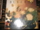 BLUEBOY Unisex SARAH LP UK Import FIELD MICE Trembling Blue Stars ANOTHER SUNNY