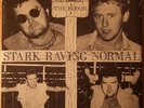The Blood - Stark Raving Normal  7