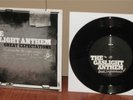 THE GASLIGHT ANTHEM GREAT EXPECTATIONS IMPORT VINYL 7