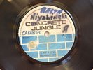 IJAHMAN LEVI - I AM A LEVI - CONCRETE JUNGLE