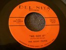 60s OHIO GARAGE--NIGHT PEOPLE--WE GOT IT / EREBIAN-BORIALIS--DEL-NITA 1002