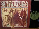 UK prog folk rock LP SPIROGYRA - St. Radiguns /  German original pressing 