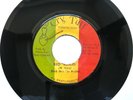 BLACK SKIN THE PROPHET RED BLOOD CRY TUFF ROOTS REGGAE 45 PRINCE FAR I