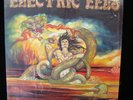 ELECTRIC EELS s/t LP on GAFFENBERG 1980 Original PRIVATE LA Hard Rock/Metal