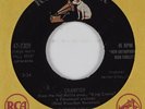 Popcorn R&B Tittyshaker 45 STONE CRUSHERS Crawfish RCA HEAR
