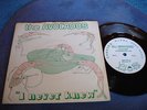 THE AVOCADOS rare 1981 UK DIY PUNK / INDIE POP / PRIVATE PRESSING 