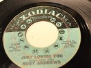 RUBY ANDREWS ZODIAC 1010 JUST LOVING YOU/THE LOVE I NEED  -LISTEN