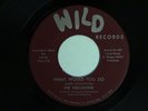 Northern soul THE PRECISIONS What Would You Do WILD M- hear soundclips