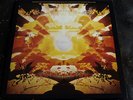 HAPSHASH AND THE COLOURED COAT Human Host & Heavy metal kids 1967 LP  1ST Psych